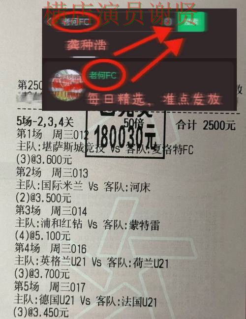 世界杯买球网站深度评测报告：访问方式与实际体验总结 - World Cup 2026
